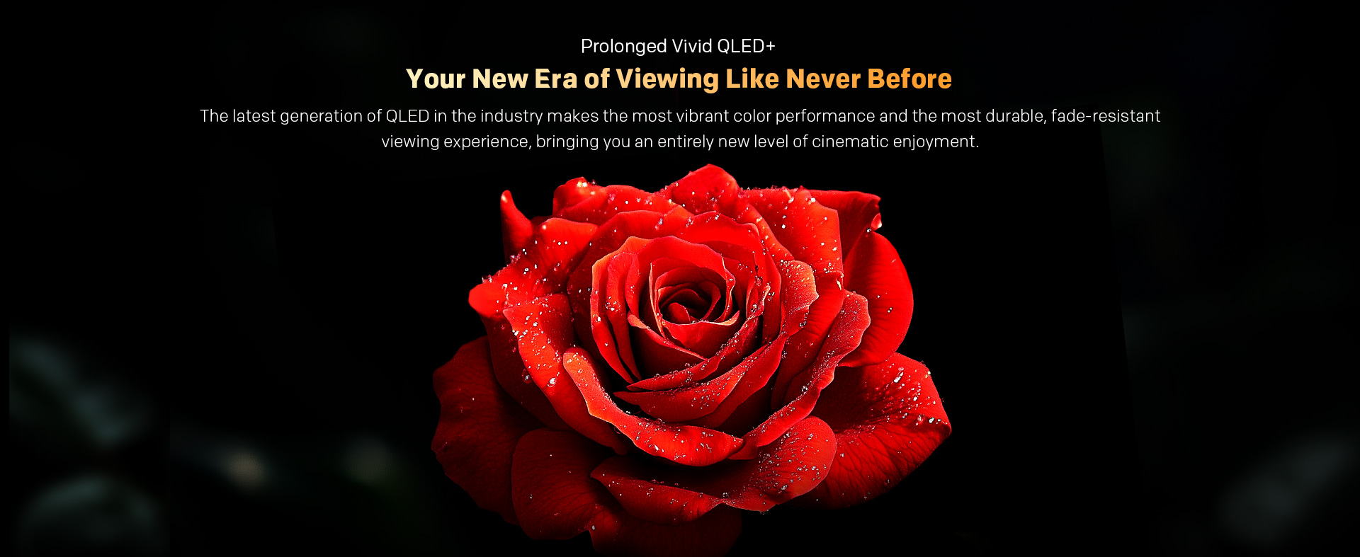 Latest Generation QLED